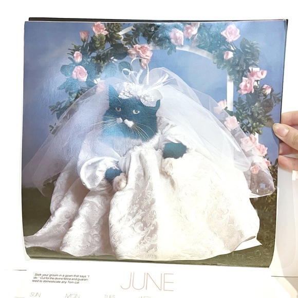 Vintage 1989 Calendar Pictures of Cats Dressed Up in Clothes Kitty Cute Kitten - Picture 9 of 16